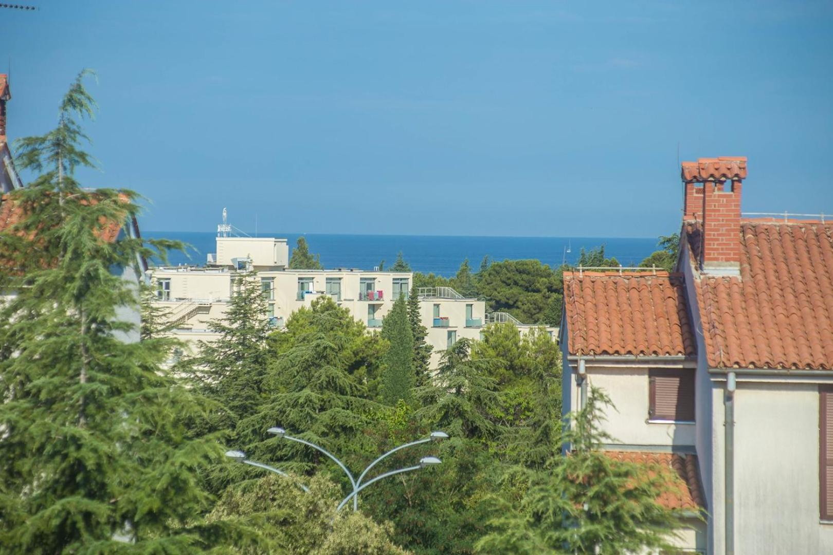 Apartment Three Bedroom Milohanic Iv