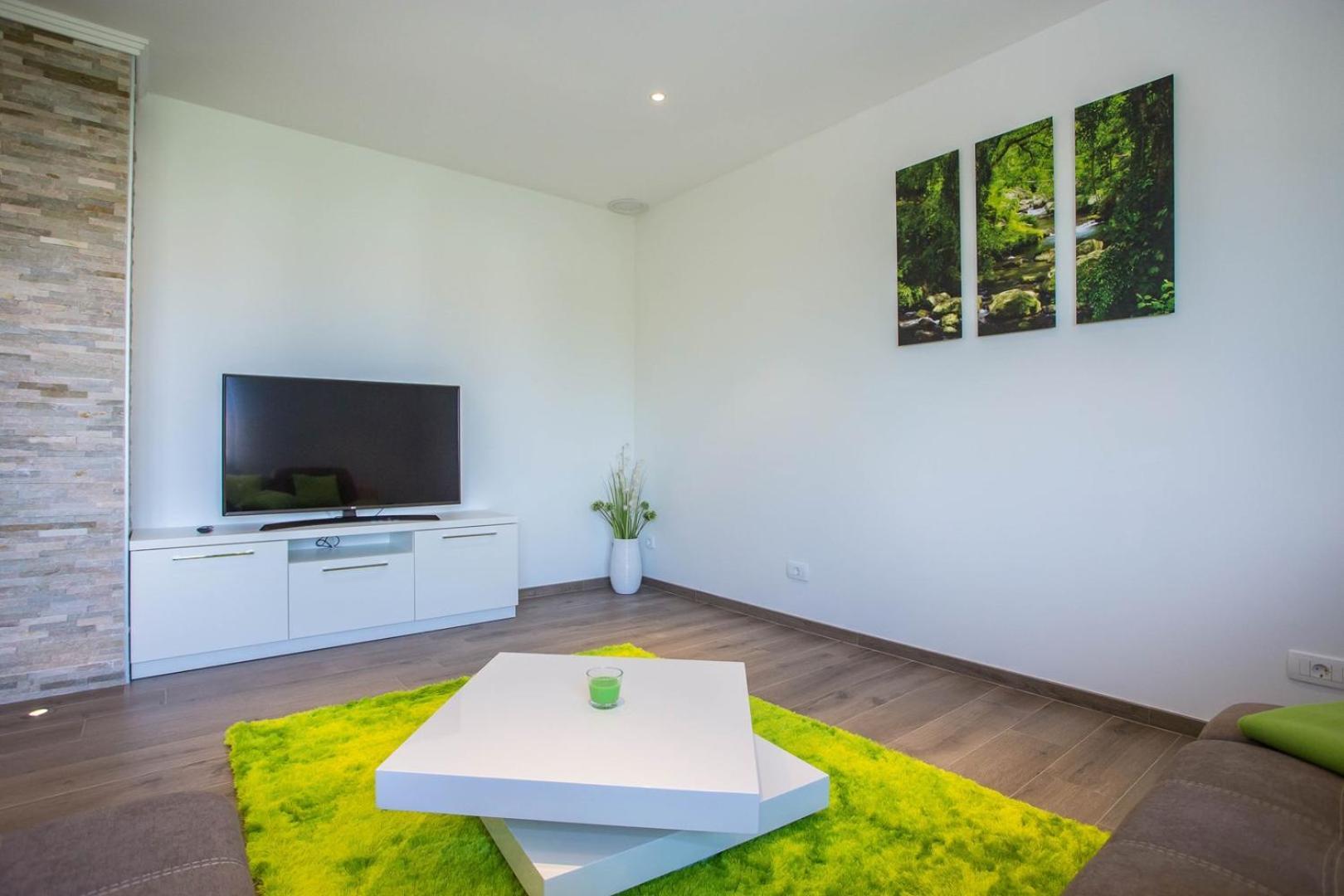 Apartment Three Bedroom Milohanic Iv *